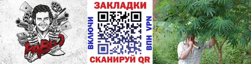 Как найти закладки Новосиль СОЛЬ ОМГ ОМГ ONION Каннабис АМФ