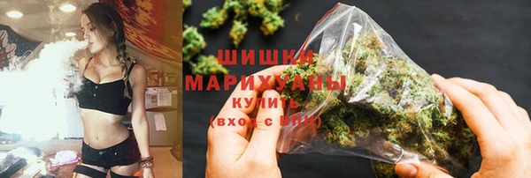 шишки Медногорск