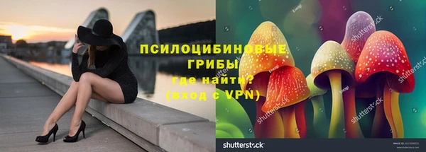 бошки Михайловск