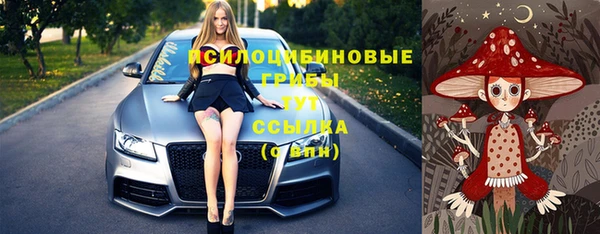 молекула духа Михайловка