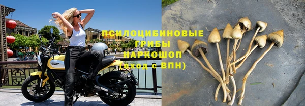 молекула духа Михайловка