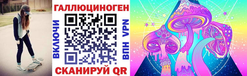 магазин    Новосиль  Псилоцибиновые грибы Cubensis 